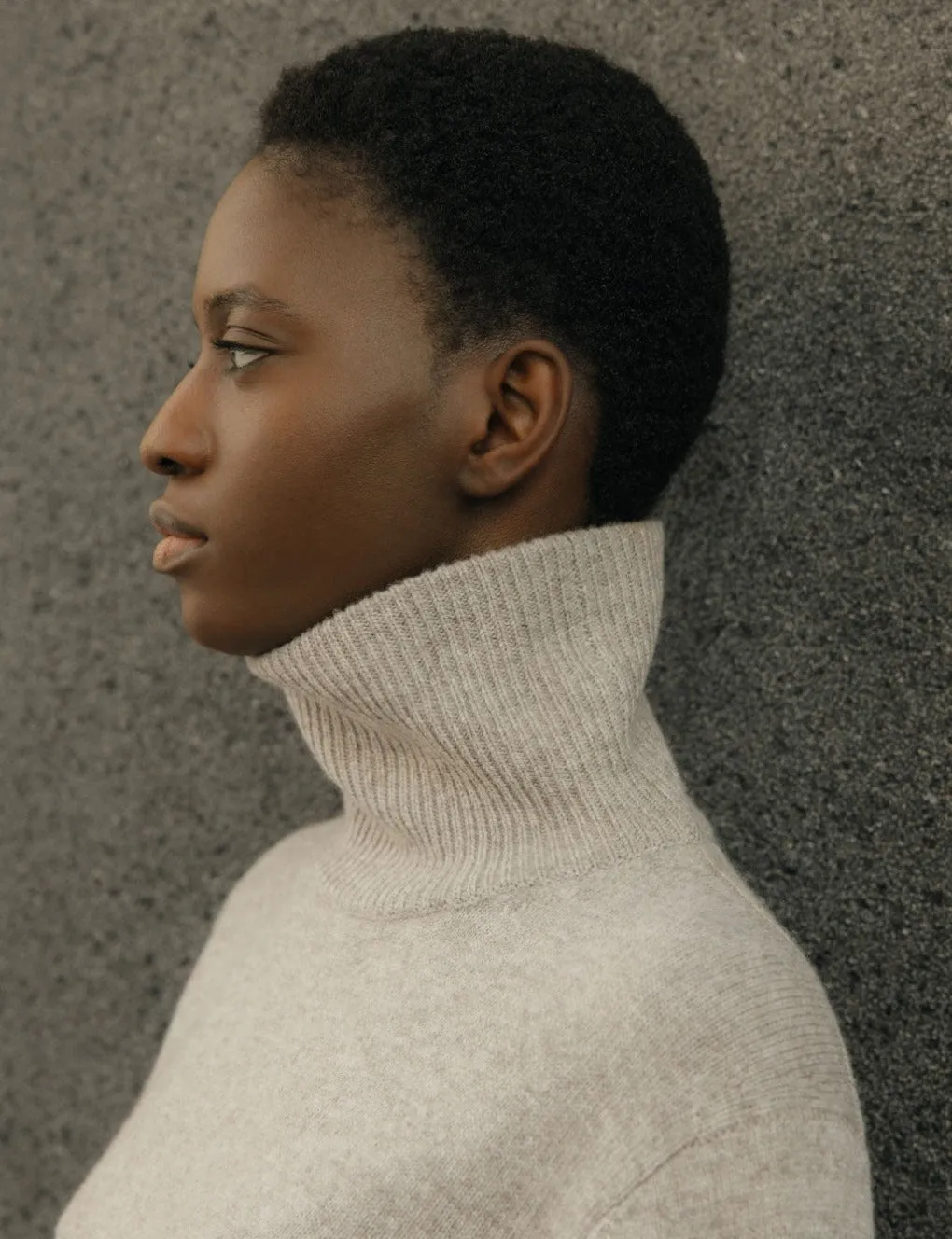 Cashmere Wool Turtleneck