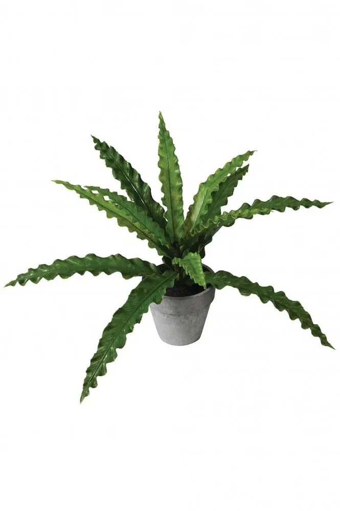 Faux Green Pteris Fern Plant in Grey Pot